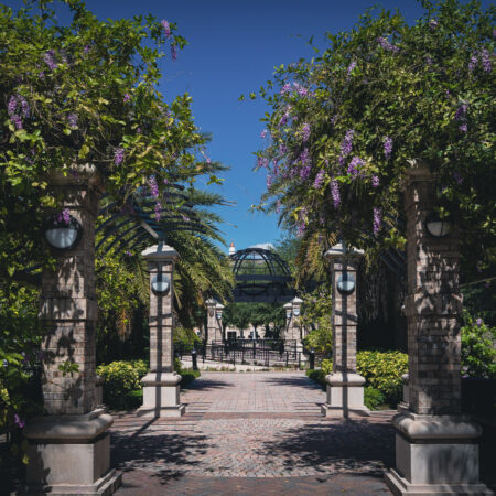 downtown walking path with trees and a fountain in Winter Springs, Florida