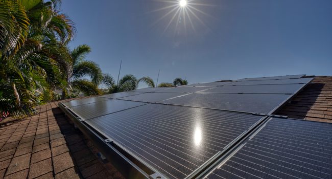 sun on on solar panels w palm trees florida